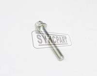 JCB Spare Parts  Screw  02/291109