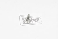 JCB Spare Parts  Screw  02/291177