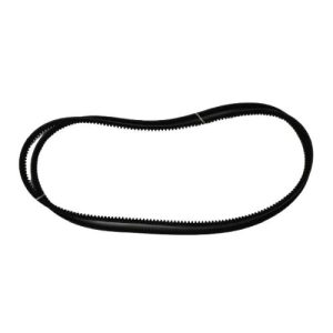 Belt Fan