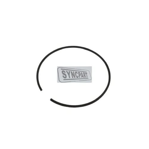Circlip 821/00291