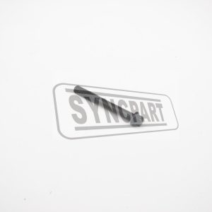 JCB Spare Parts Screw  02/202956
