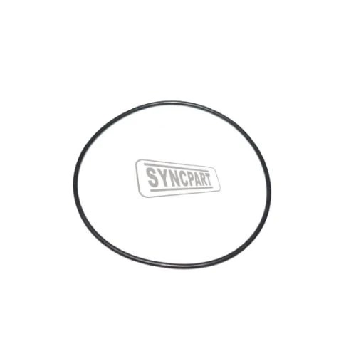 O Ring 828/00096